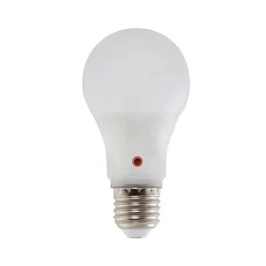 Bright Star LED  251 Day/Night 9w  E27 Cool White