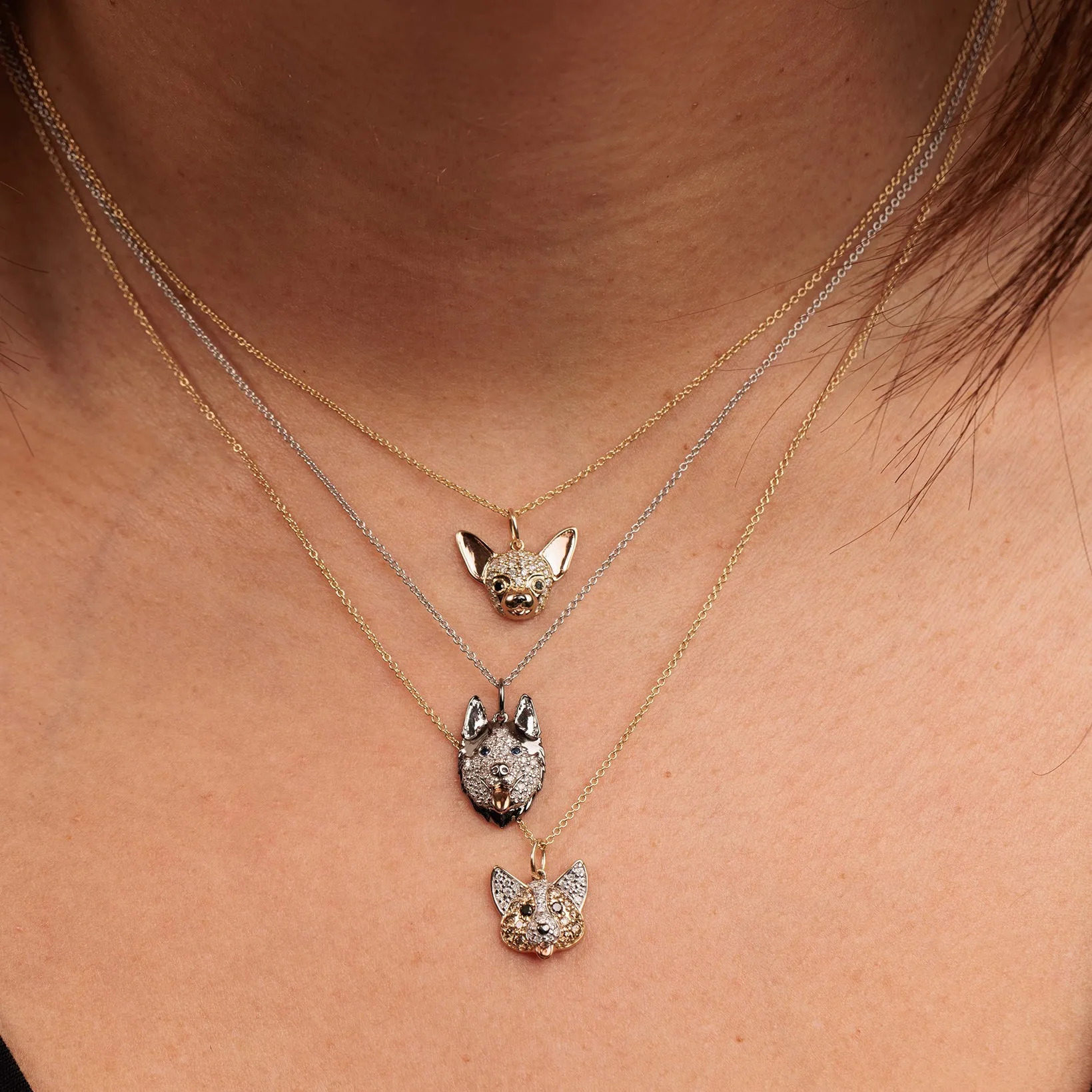Gold & Diamond Chihuahua Charm
