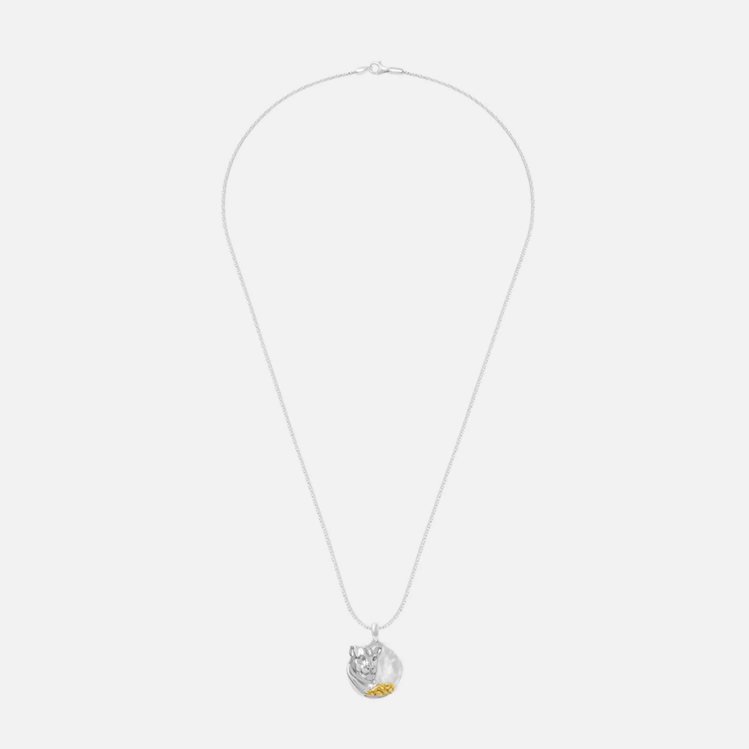 Leo Pendant