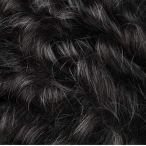 Outre Neesha Soft & Natural Synthetic Swiss Lace Front Wig - NEESHA 209
