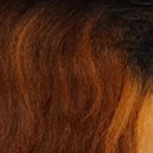 Sensationnel Synthetic Hair Dashly Lace Front Wig - LACE UNIT 19