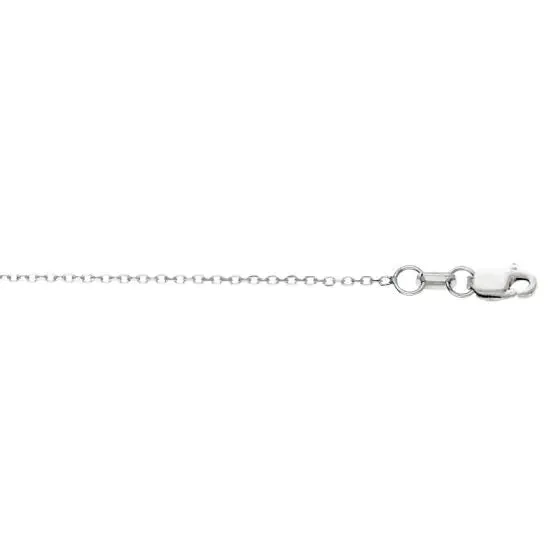 Sincerely Springer's 14k White Gold 20" Cable Chain Necklace