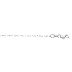 Sincerely Springer's 14k White Gold 20" Cable Chain Necklace