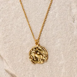 Star Sign Coin Necklace - Capricorn