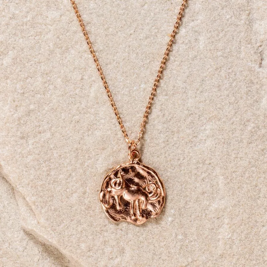 Star Sign Coin Necklace - Capricorn