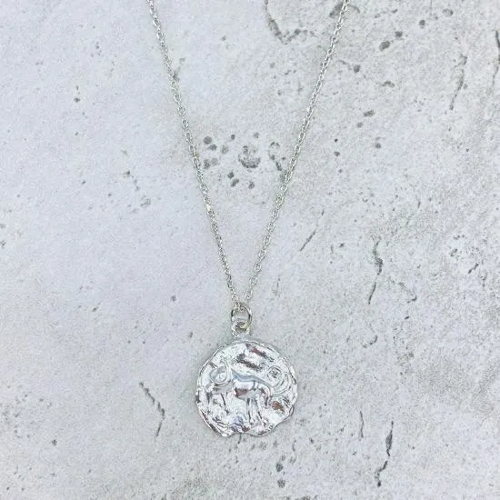 Star Sign Coin Necklace - Capricorn