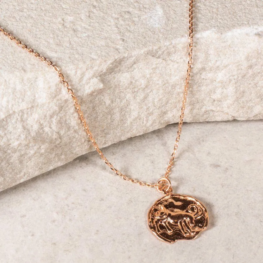 Star Sign Coin Necklace - Capricorn