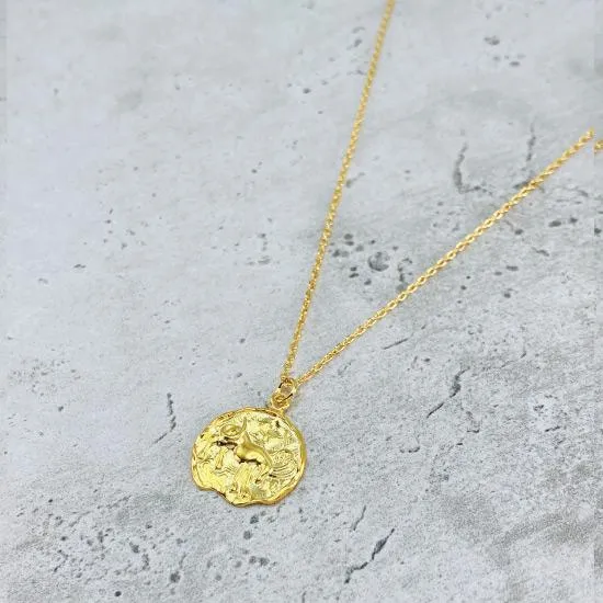 Star Sign Coin Necklace - Capricorn