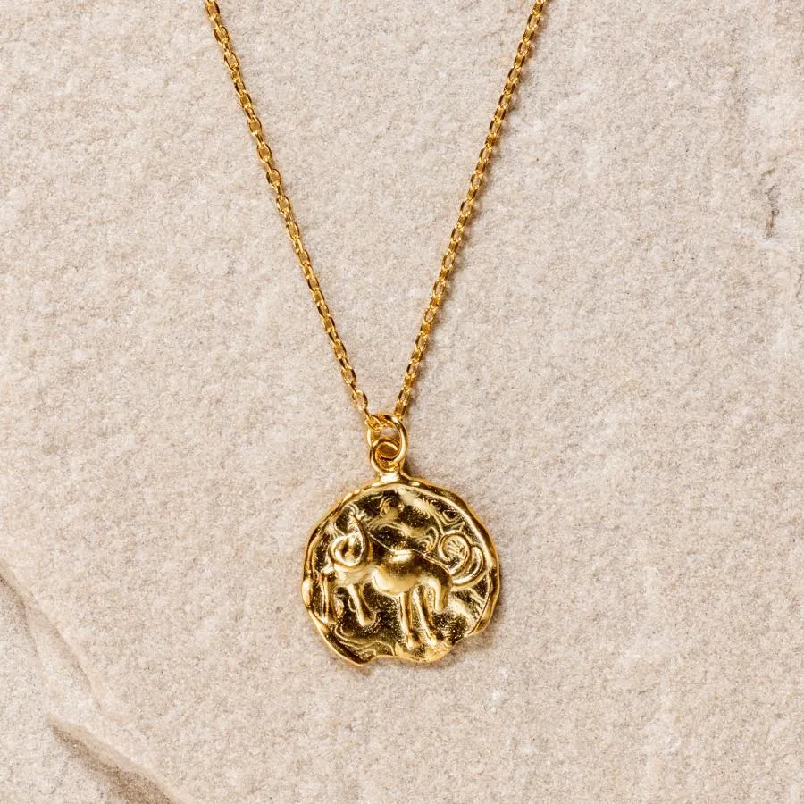 Star Sign Coin Necklace - Capricorn