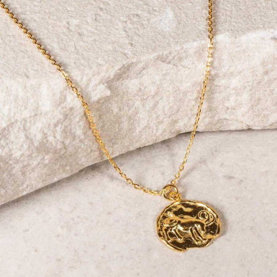 Star Sign Coin Necklace - Capricorn
