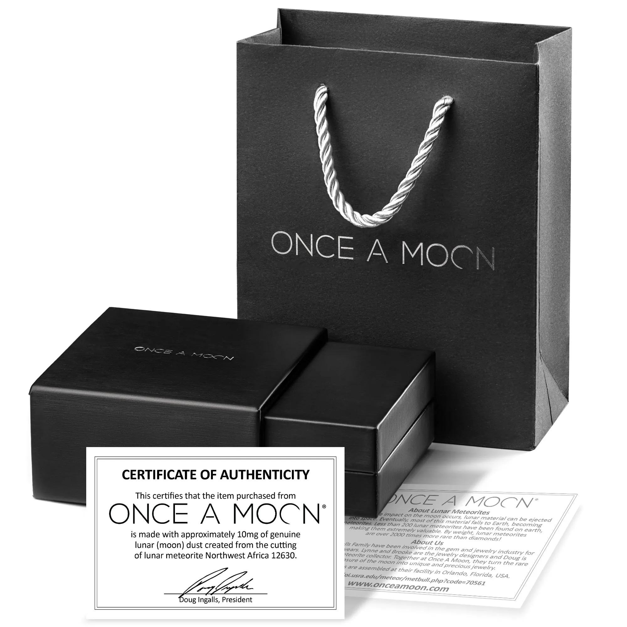 Sterling Silver Galaxy Starmoon Necklace Made With Moon Meteorite